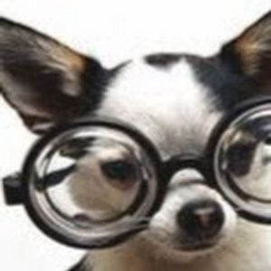 Meet your Posher, Karla